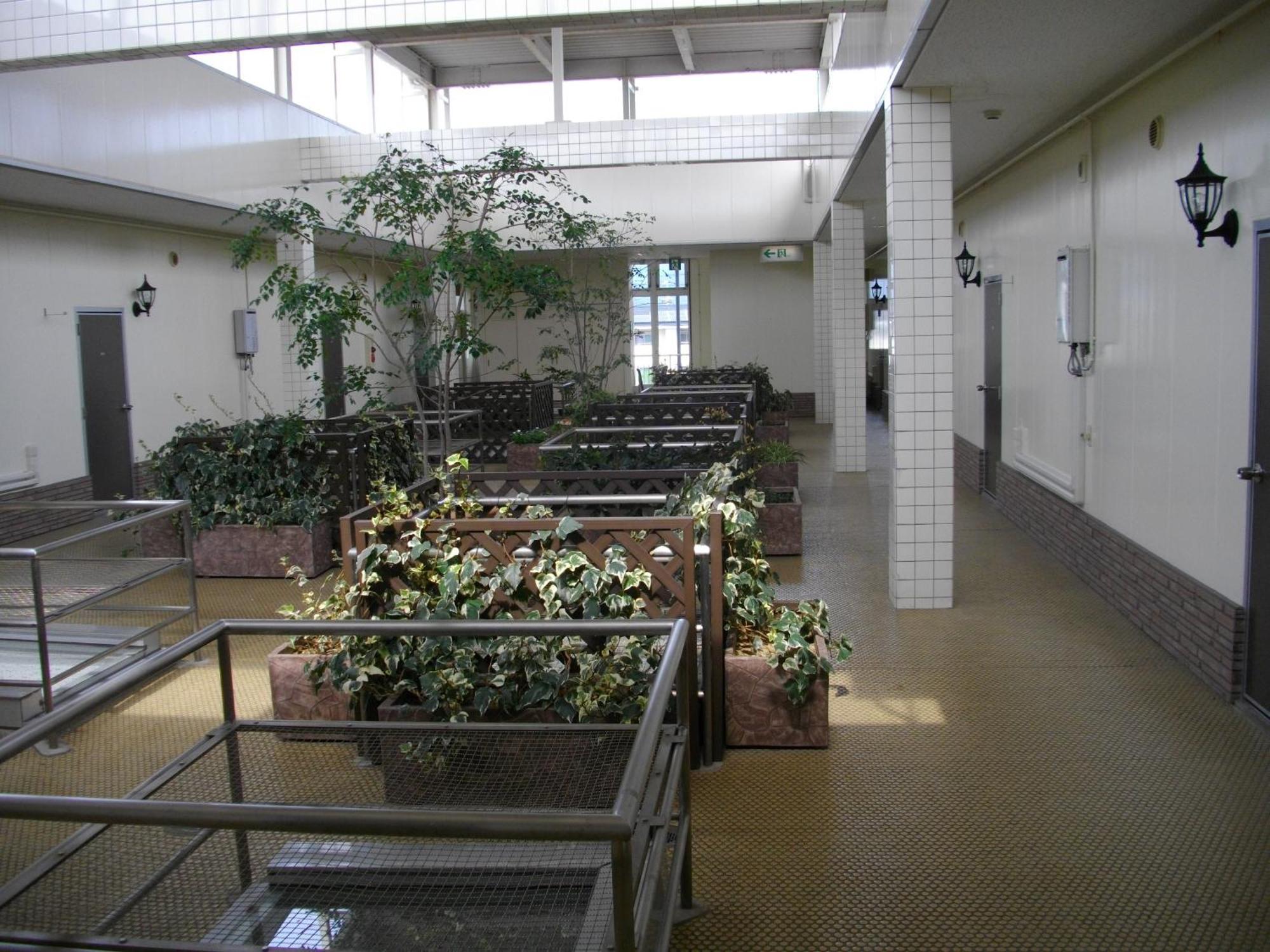 Hotel Taiheiyo Matsushige Buitenkant foto